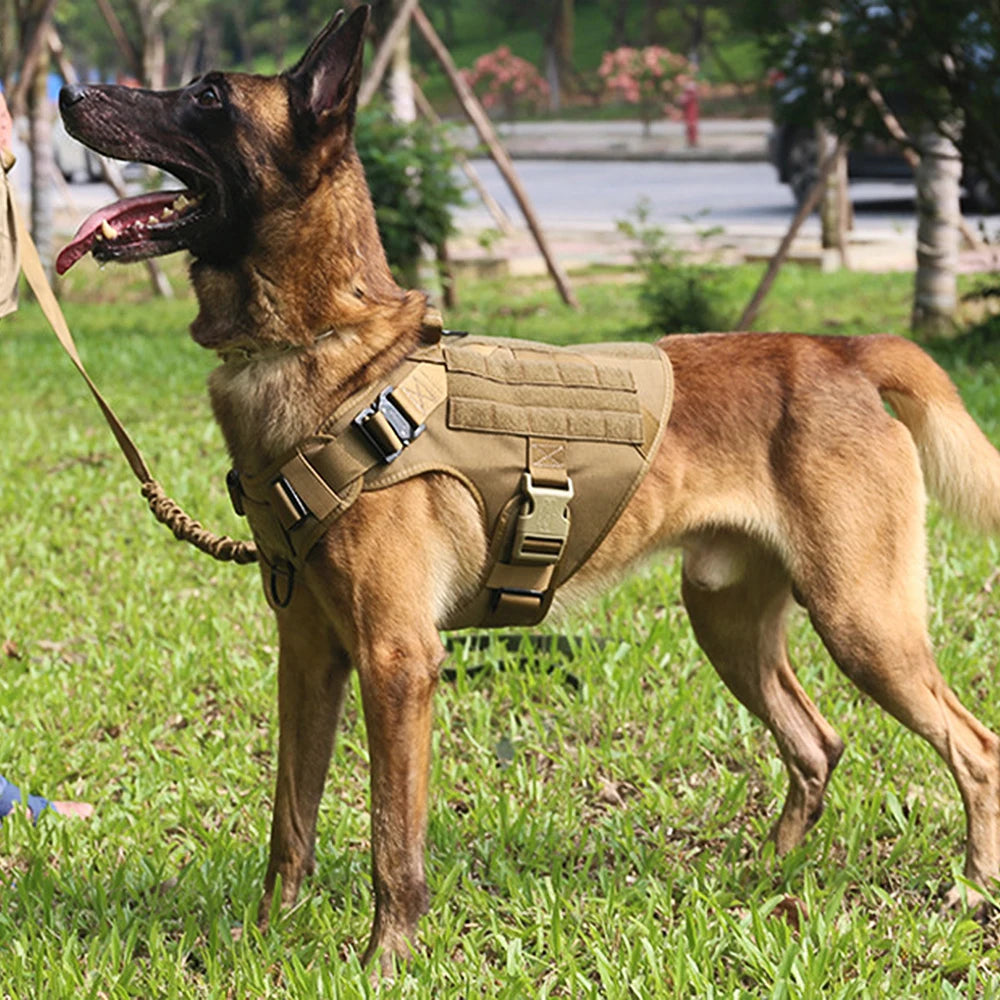PawRoam Tactical Dog Harness & Leash Set — No-Pull Training Vest for Medium & Large Dogs