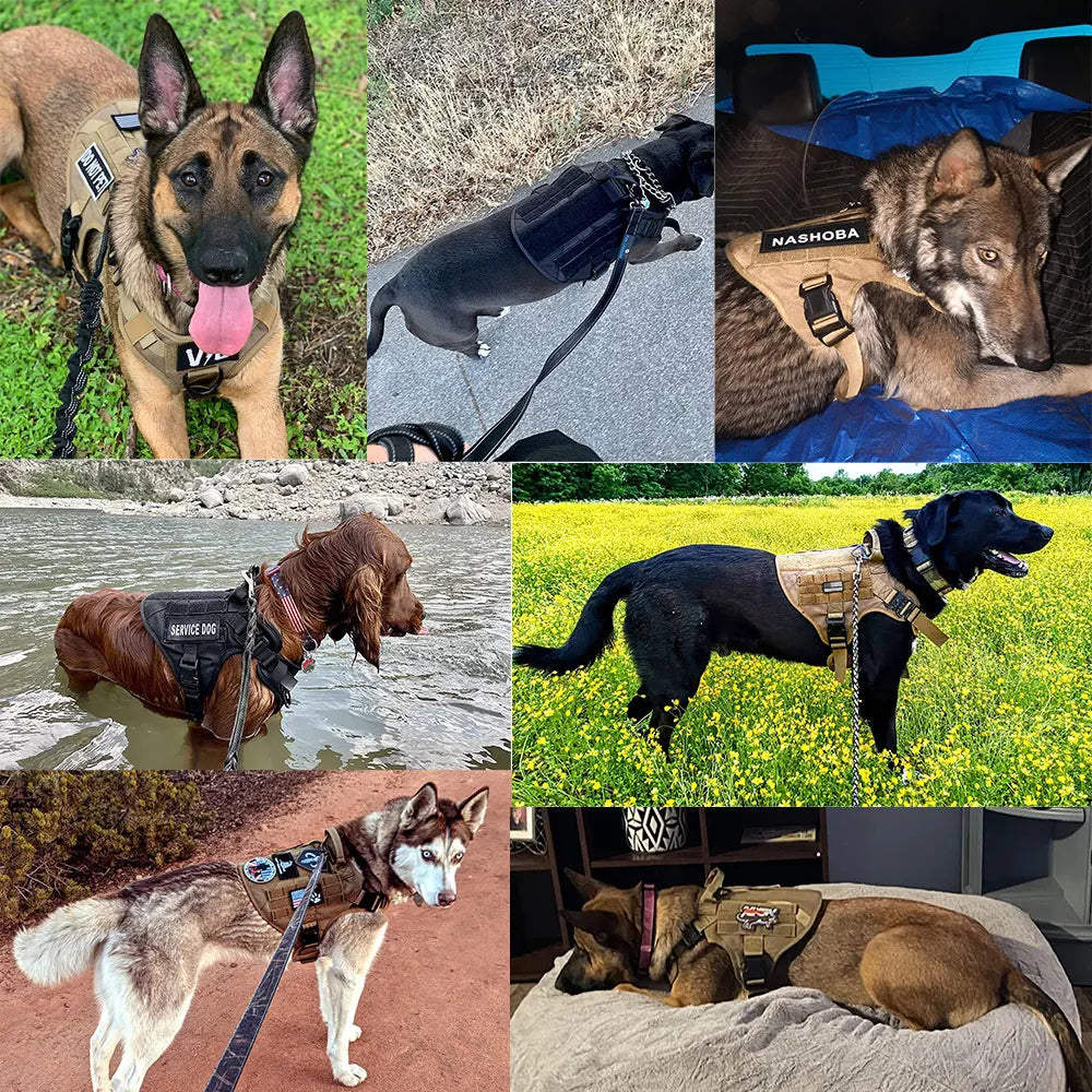 PawRoam Tactical Dog Harness & Leash Set — No-Pull Training Vest for Medium & Large Dogs